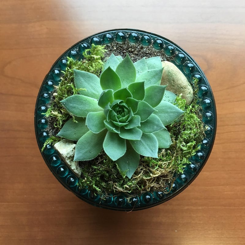 Repurposed
