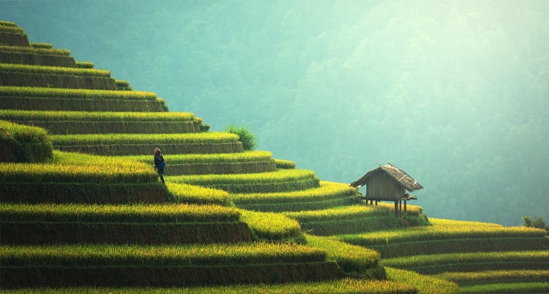 Sustainable