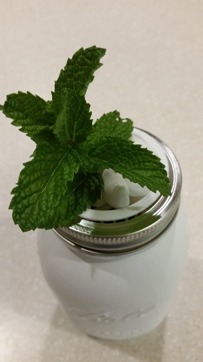 Mason Jar Planters