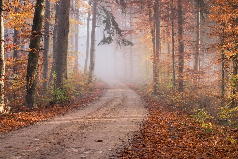 Road to Inspiration